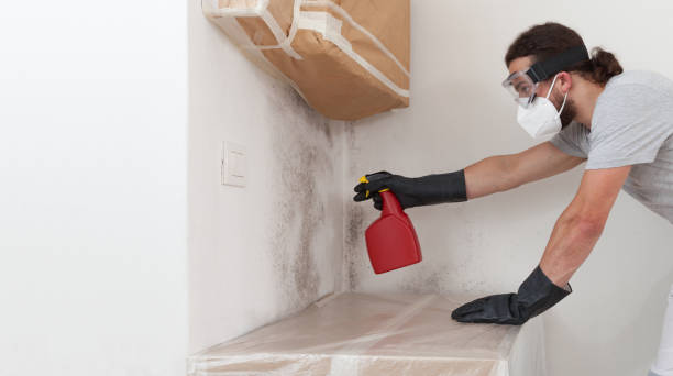 Professional Mold Inspection And Testing technician working in Bohemia, NY